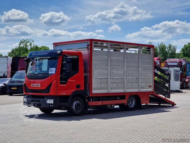 Viehtransport Iveco Eurocargo 75.190 - Finkl Livestock 1 deck - 9.0...