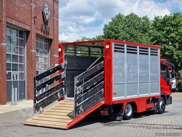 Viehtransport Iveco Eurocargo 75.190 - Finkl Livestock 1 deck - 9.0...