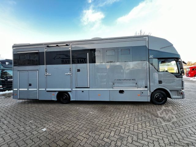 Viehtransporter LKW MAN 12 250 5 Pferde Pop-Out