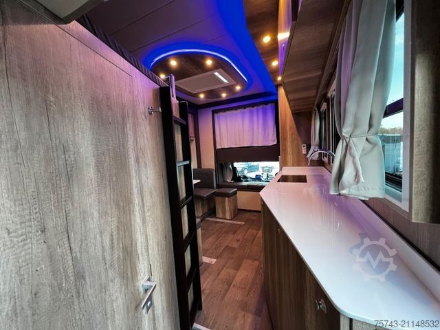 Viehtransporter LKW MAN 12 250 5 Pferde Pop-Out