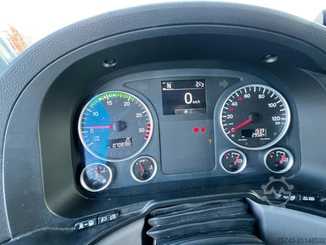 Viehtransporter LKW MAN 12 250 5 Pferde Pop-Out