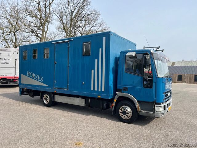 Pferdetransport Iveco ML 75 Horsetruck 4 boxes