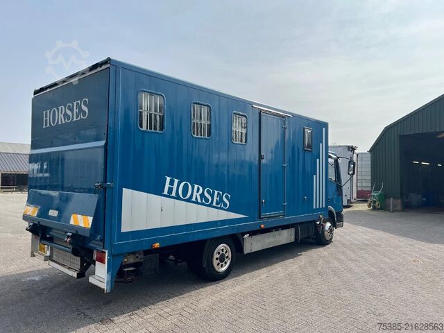 Pferdetransport Iveco ML 75 Horsetruck 4 boxes