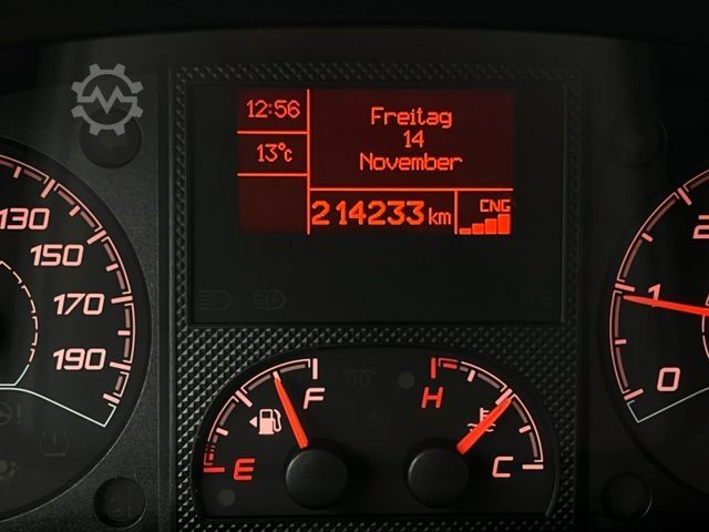 Kleinbus FIAT Ducato 3.0 Natural Power/CNG/Benzin 9 Sitze Pdc