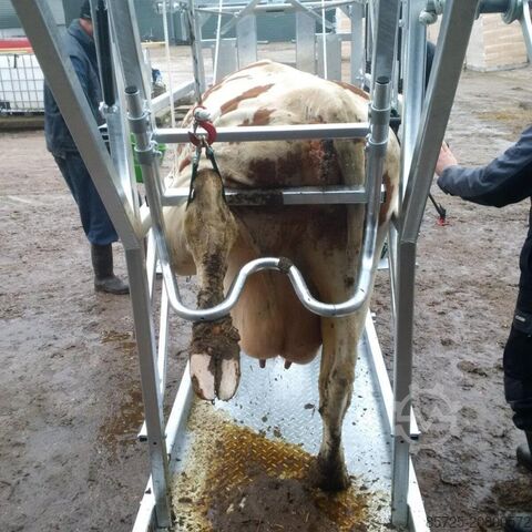 Stallmaschine  Klauwbekapbox Type L