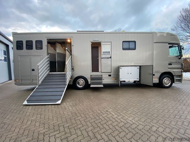 Cattle truck MERCEDES-BENZ Actros 2644 5 Pferde  Pop-Out, Pop-Up