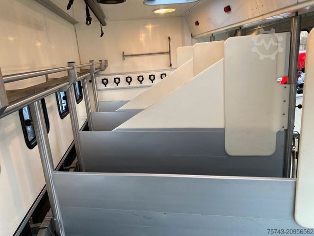 Cattle truck MERCEDES-BENZ Actros 2644 5 Pferde  Pop-Out, Pop-Up