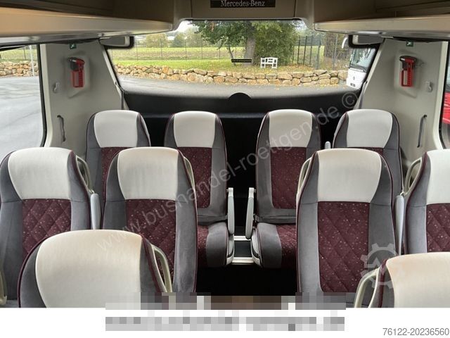 Motor coach MERCEDES-BENZ Tourismo/Travego/516/517/R08 Lion?sCoach