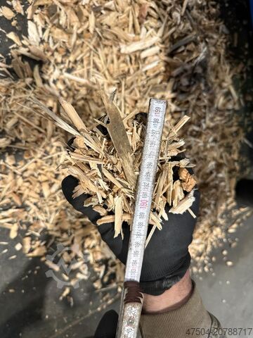 Einwellenzerkleinerer Gross GAZ 82 S