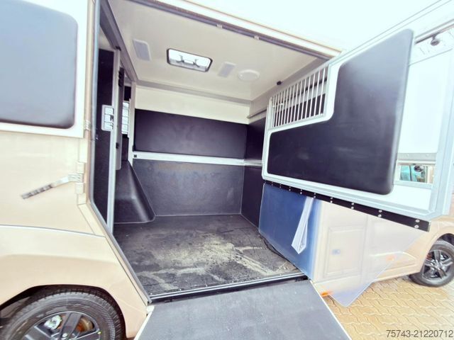 Viehtransporter RENAULT MASTER STX NEW MODELL  2025 5 Sitzer Haras ex. L