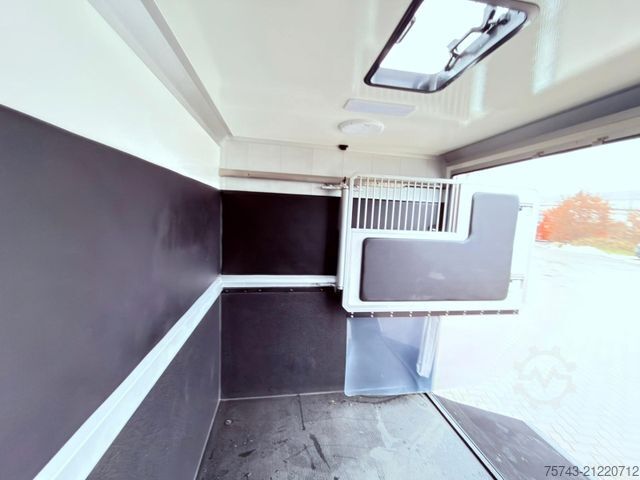 Viehtransporter RENAULT MASTER STX NEW MODELL  2025 5 Sitzer Haras ex. L