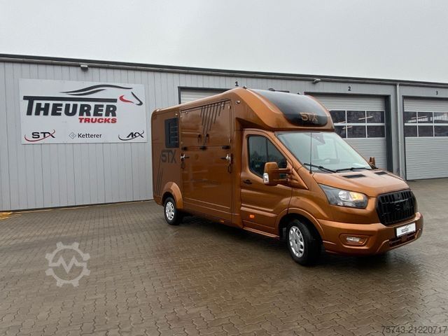 Viehtransporter FORD Transit STX Haras  NEW MODELL. AUTOMATIK