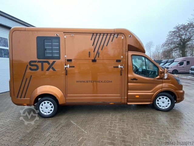 Viehtransporter FORD Transit STX Haras  NEW MODELL. AUTOMATIK
