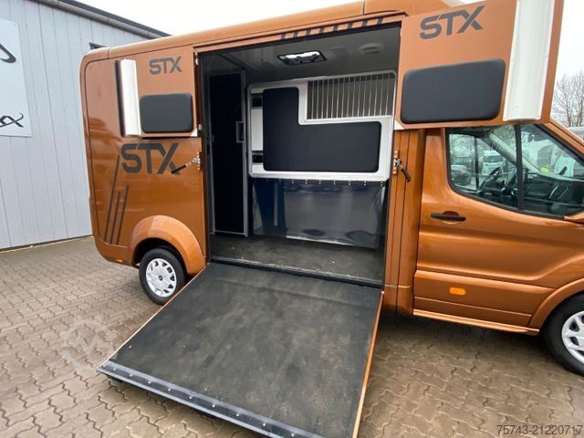 Viehtransporter FORD Transit STX Haras  NEW MODELL. AUTOMATIK