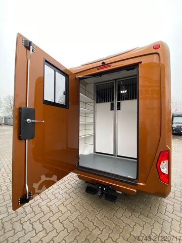 Viehtransporter FORD Transit STX Haras  NEW MODELL. AUTOMATIK