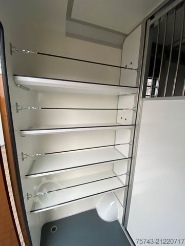 Viehtransporter FORD Transit STX Haras  NEW MODELL. AUTOMATIK