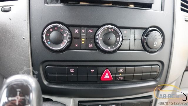 Minibus VOLKSWAGEN Crafter 2.5 TDI 23-Sitze