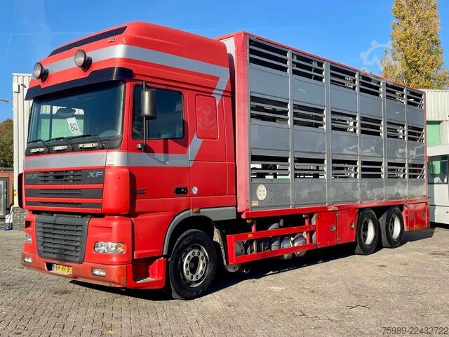 Koffer DAF XF 95.430 DUTCH TRUCK !  E4