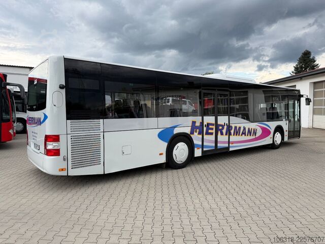 Stadtbus MAN A 20 / Lions City Ü  / Euro 6  / KLIMA