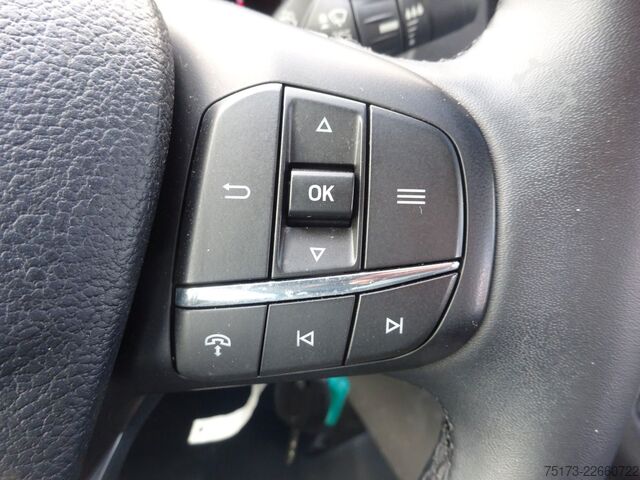 Panel van FORD Transit Doka Kasten 350 L3H2 LKW Trend 130PS