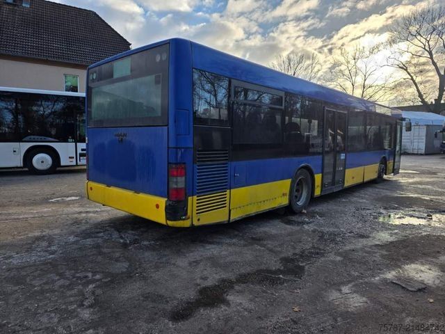 City bus MAN A20 B 14 Linie, Retarder, Klima, SDtandheizung