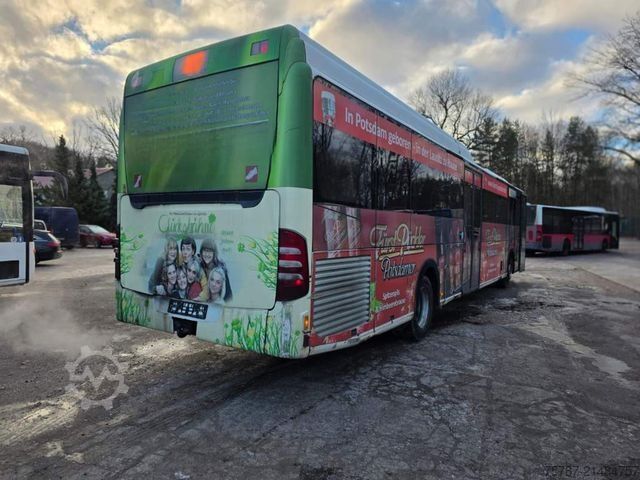Intercity bus MERCEDES-BENZ Citaro O530 LE, Gurten,  Armlehnen, Gardinen