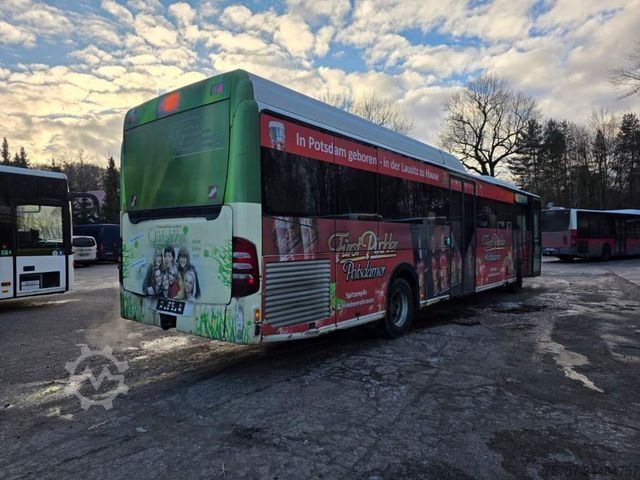 Intercity bus MERCEDES-BENZ Citaro O530 LE, Gurten,  Armlehnen, Gardinen