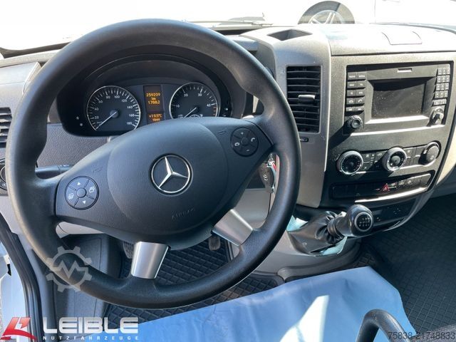Kastenwagen MERCEDES-BENZ Sprinter 317 CDI*Klima*Spur*Kamera*3-Sitzer*AHK