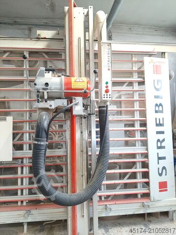 Plattensäge stehend STRIEBIG - SWITZERLAND STANDARD III 6220