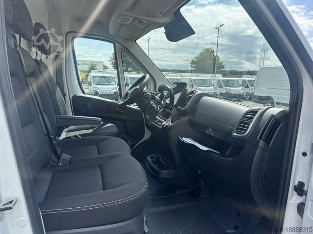 Kastenwagen Fiat Ducato