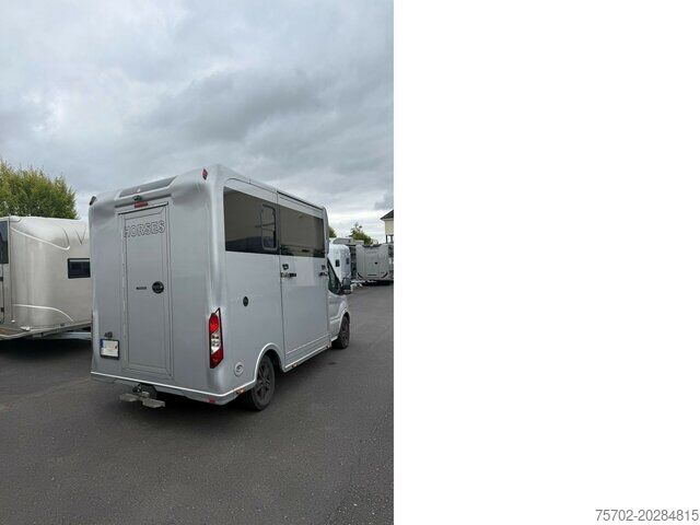 Livestock transporter Ford Transit 1-2 Pferde Hengsttrennung