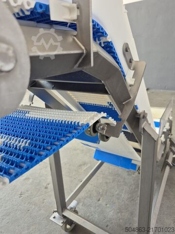 Bandförderer / Bandzuführer / Förderband CARNITECH PM 45 Belt Conveyor