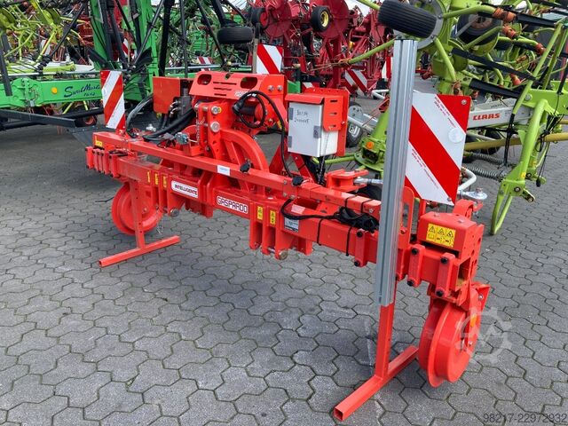 Maschio Intelligente Maschio Intelligente