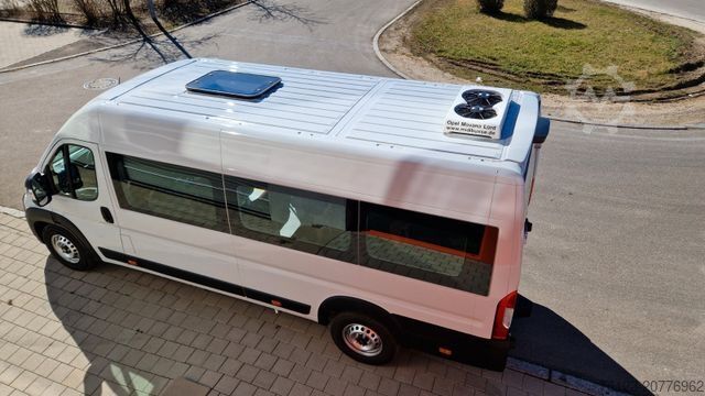 Kleinbus FIAT 3x Ducato 2x  Opel Movano 18 SS  in Stock