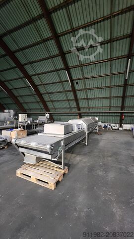 Fleischverarbeitungsmaschine Tunnel à vapeur