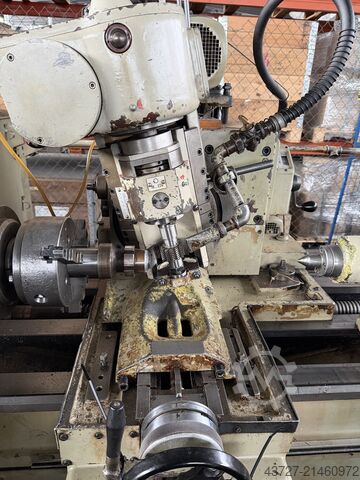 Gewindefräsen und Wälzfräsmaschine WMW HECKERT ZFWVG 250x2000