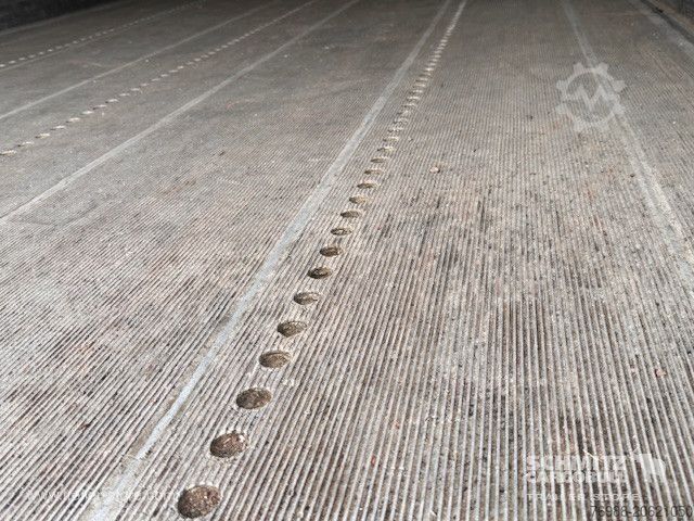 Reefer semitrailer Schmitz Cargobull Tiefkühler Standard Ladebordwand