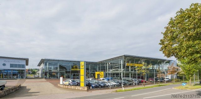 Pritschenwagen FORD Transit Pritsche 350 L3 Lang Trend AHK Klima