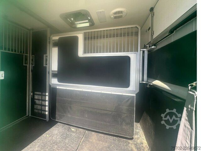 Van Mercedes-Benz Sprinter 319 STX 1-2 Pferde Hengsttrennung