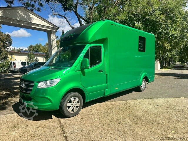 Van Mercedes-Benz Sprinter 319 STX 1-2 Pferde Hengsttrennung