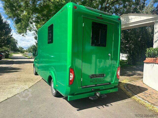 Van Mercedes-Benz Sprinter 319 STX 1-2 Pferde Hengsttrennung