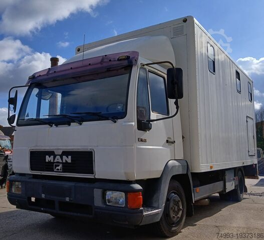 Horse truck MAN 8153 PAARDENVRACHTWAGEN