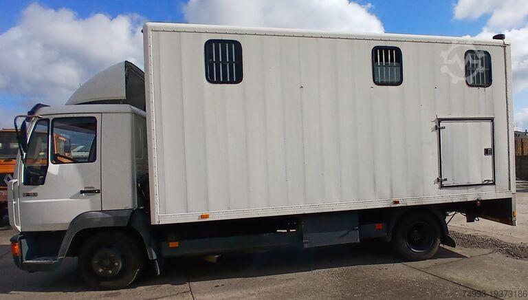 Horse truck MAN 8153 PAARDENVRACHTWAGEN