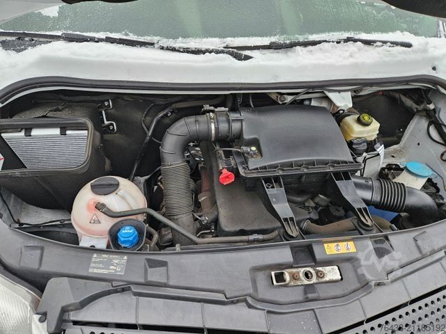 Kühltransporter MERCEDES-BENZ Sprinter 316 CDI THERMO KING V300 0°FRISCHDIENST