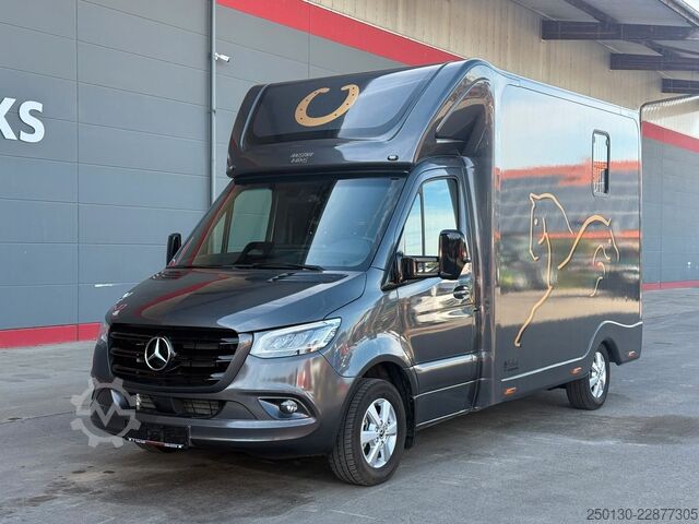 Livestock transporter MERCEDES-BENZ SODIAK HORSE 2 Pferde Luxus Sprinter