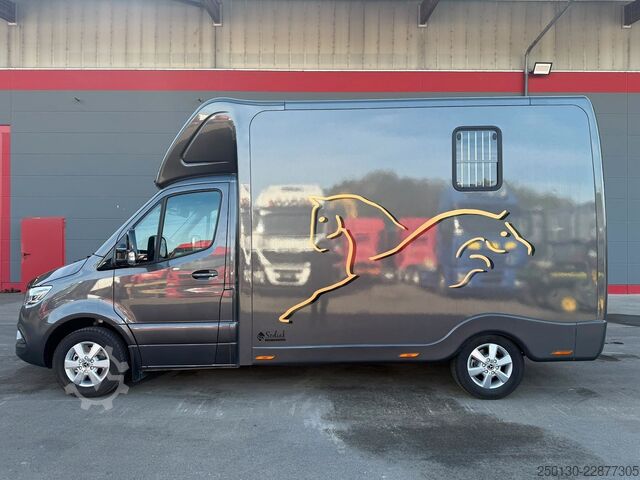 Livestock transporter MERCEDES-BENZ SODIAK HORSE 2 Pferde Luxus Sprinter
