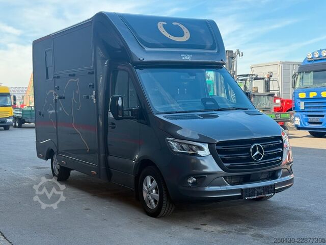 Livestock transporter MERCEDES-BENZ SODIAK HORSE 2 Pferde Luxus Sprinter