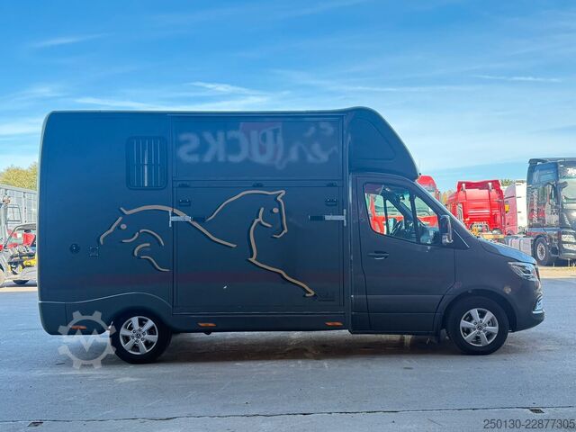 Livestock transporter MERCEDES-BENZ SODIAK HORSE 2 Pferde Luxus Sprinter