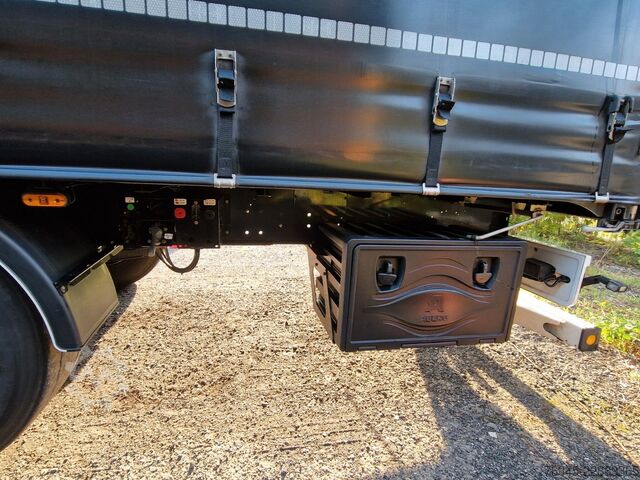 Open semitrailer with tarp WIELTON Schiebeplane Edscha XL Code NS3