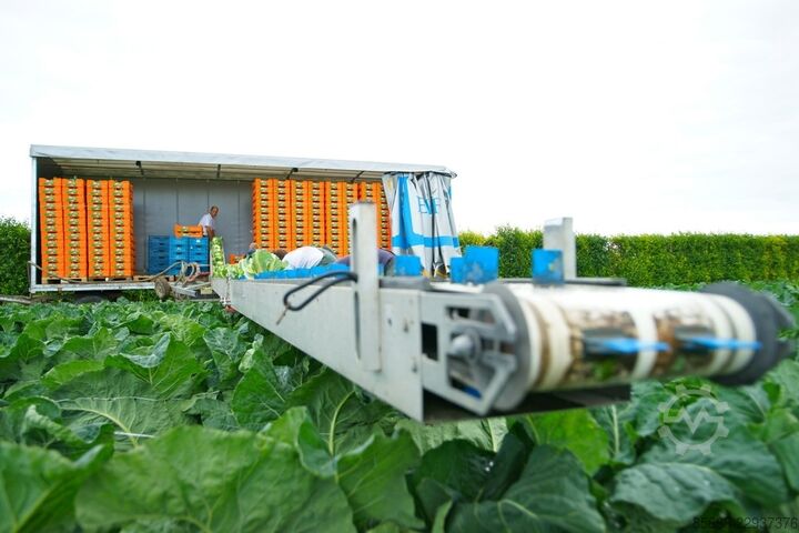 New custom made harvesting conveyor  